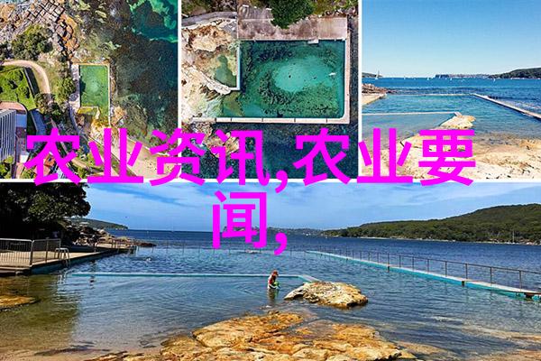春风得意花自红广玉兰香销万家