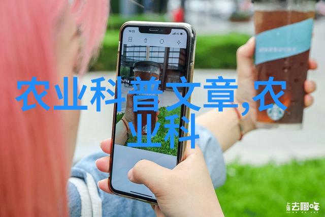 水果盛宴珍品佳肴的园丁之旅