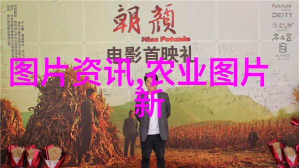 粮油作物资讯 - 全球粮食安全新挑战如何应对气候变化对粮油作物影响