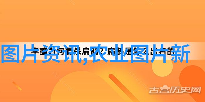 如何评估林麝市场价格波动对投资风险