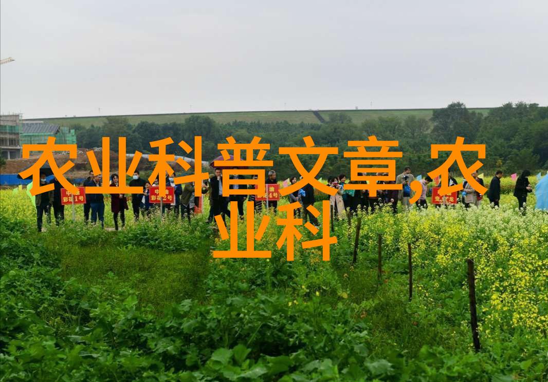 花房设计在秋季如何为植物创造理想的栽培环境