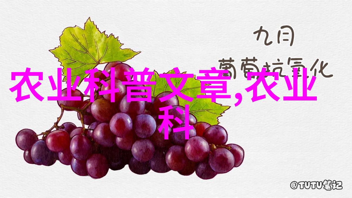 怎么正确地进行小尾寒羊的分娩准备