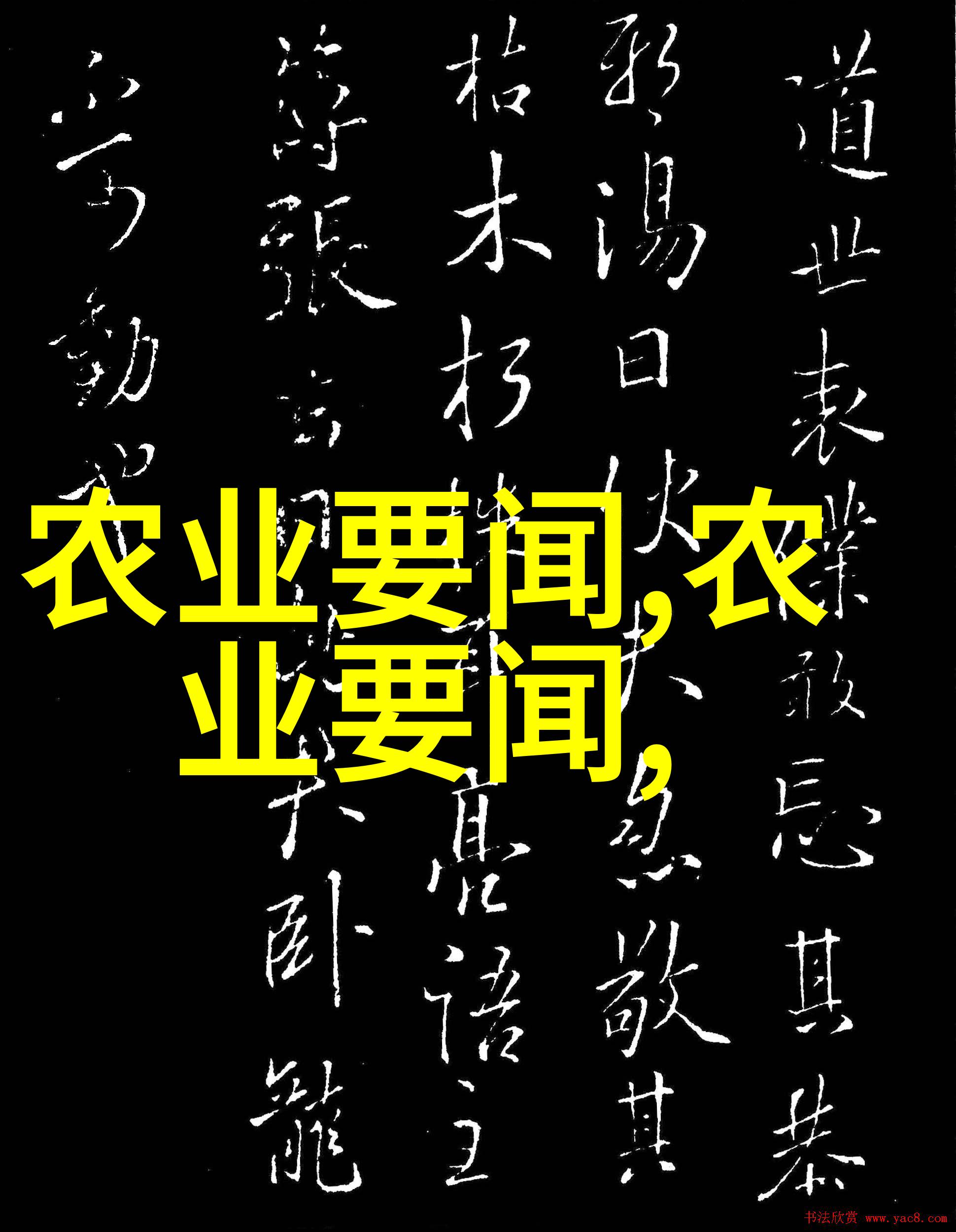 进行规模化泥鳎养殖时应注意哪些事项