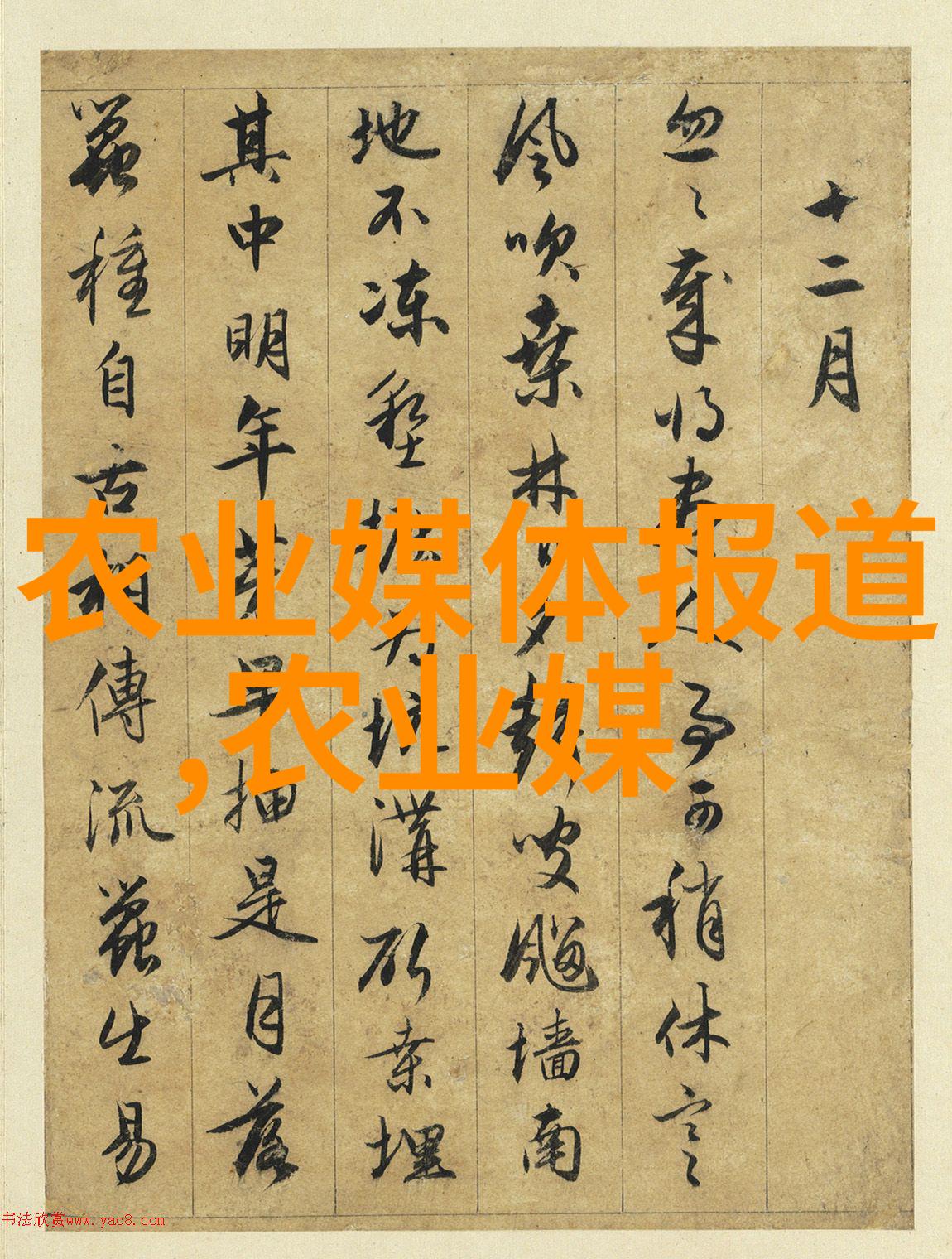 新手养蜂技术我该如何避免初期的错误并确保蜂群健康成长