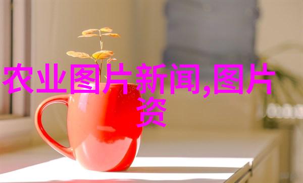中药材的奇妙世界