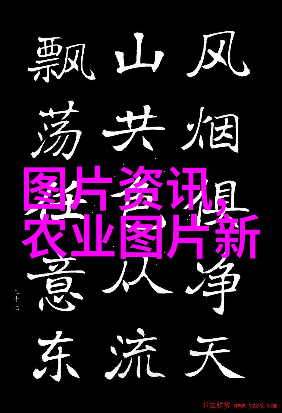 成都草莓苗批发市场鲜花般的商机与生意繁荣