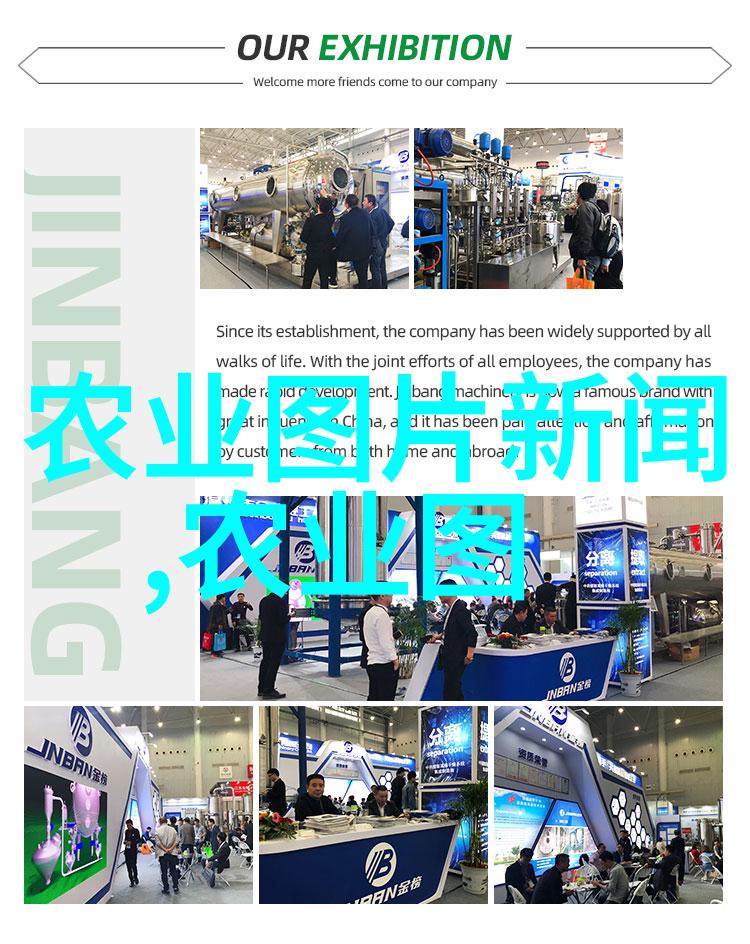 场舍设计应用养羊50个绝密技术创造理想的牧场环境