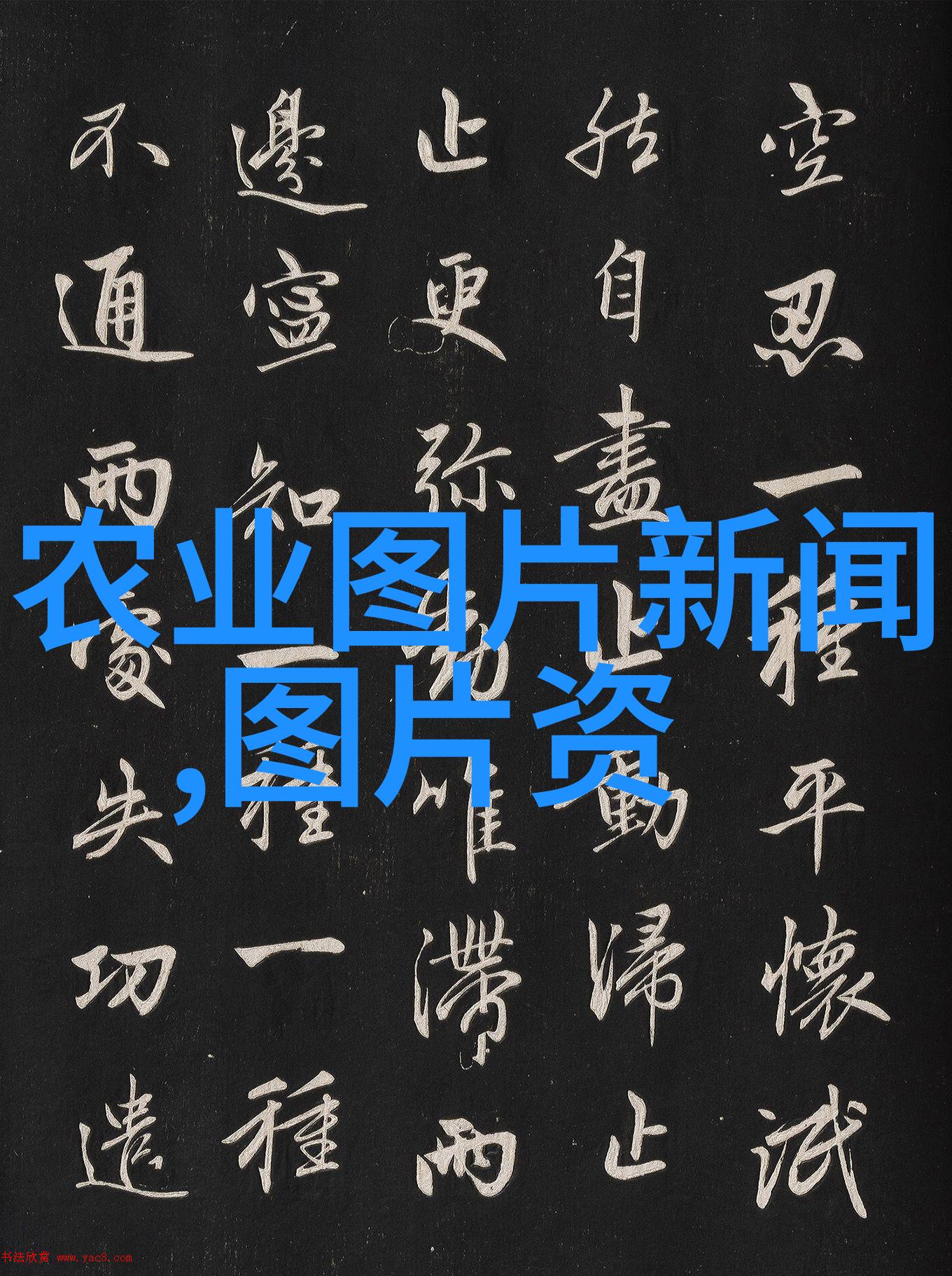家禽养殖技术与管理要点
