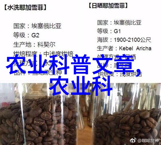 芹菜的另一面探索根芹的秘密