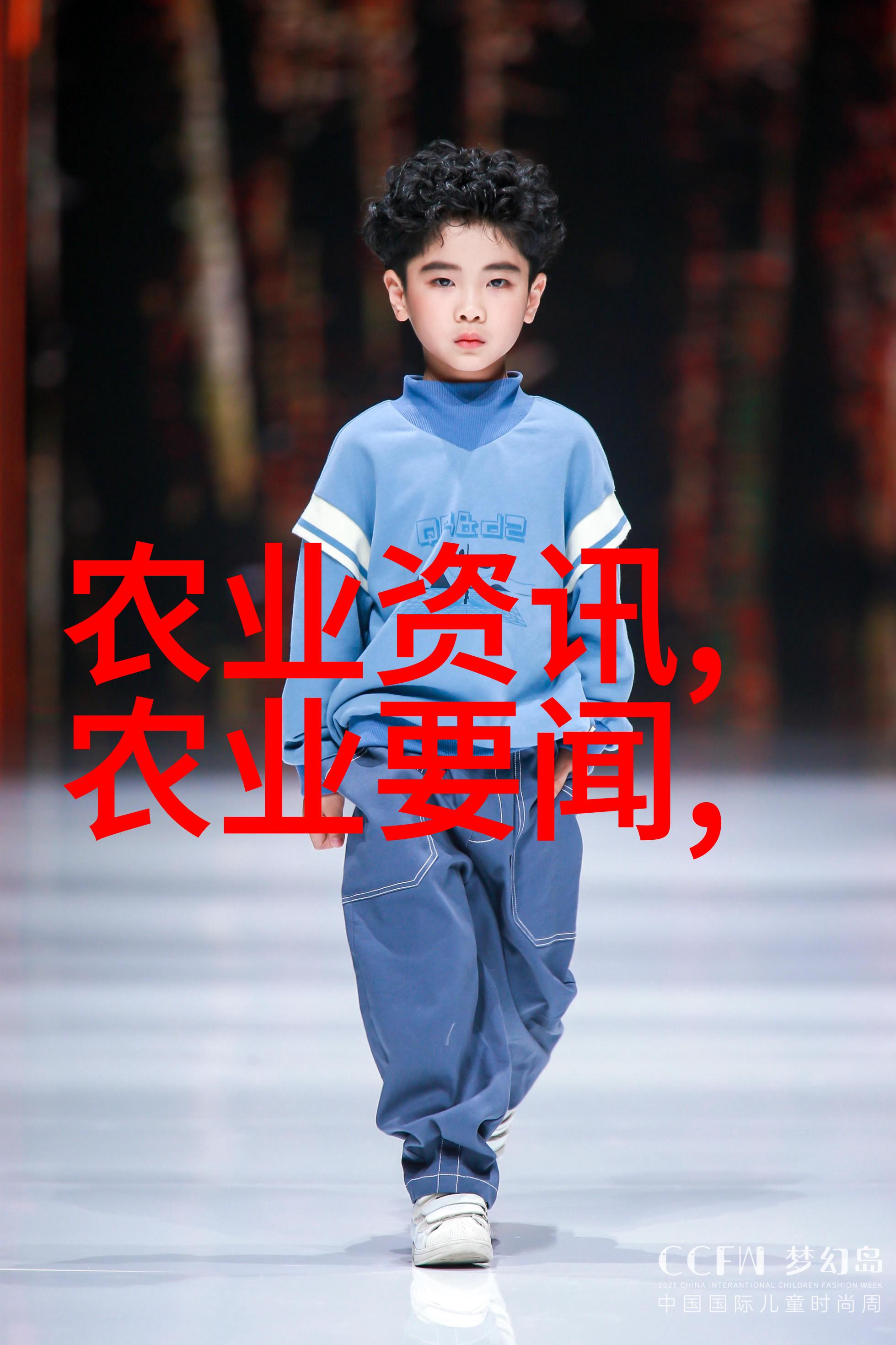 水果种子探秘丰富图库解锁自然的奇迹