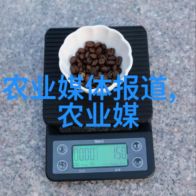 鱼池的奥秘探究帆布鱼池一立方的最佳养殖密度