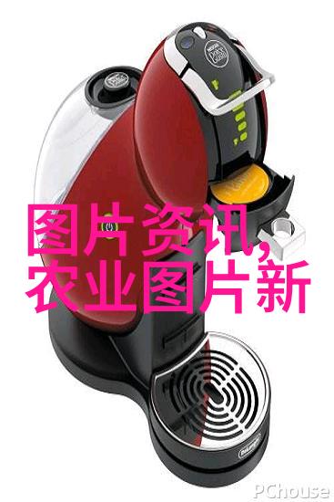 养10只羊一年赚多少钱-牧场丰收剖析羊类养殖的经济效益