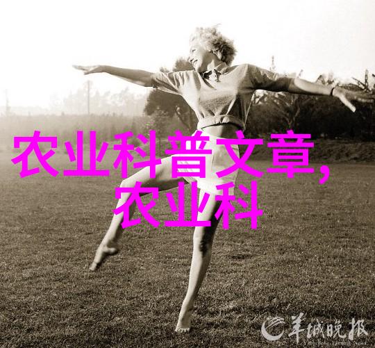 金丝楠苗木之梦10公分的财富