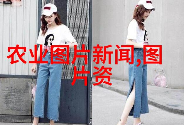 中国农业网址大全 - 绿茵金源探索中国农业网址大全的智慧之路