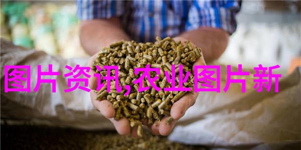 红麻种植一亩利润计算详细分析红麻经济效益