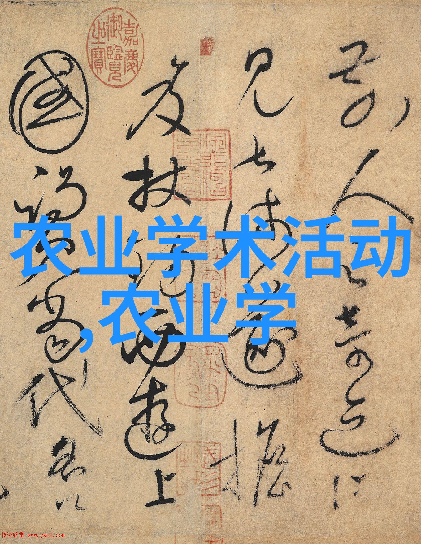 红枣再升值当代中药材市场的新宠儿