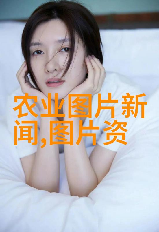 实时追踪当地农贸市场和养殖户提供的最新售后待售牲畜包括肉羊水 buffalo的整体报价