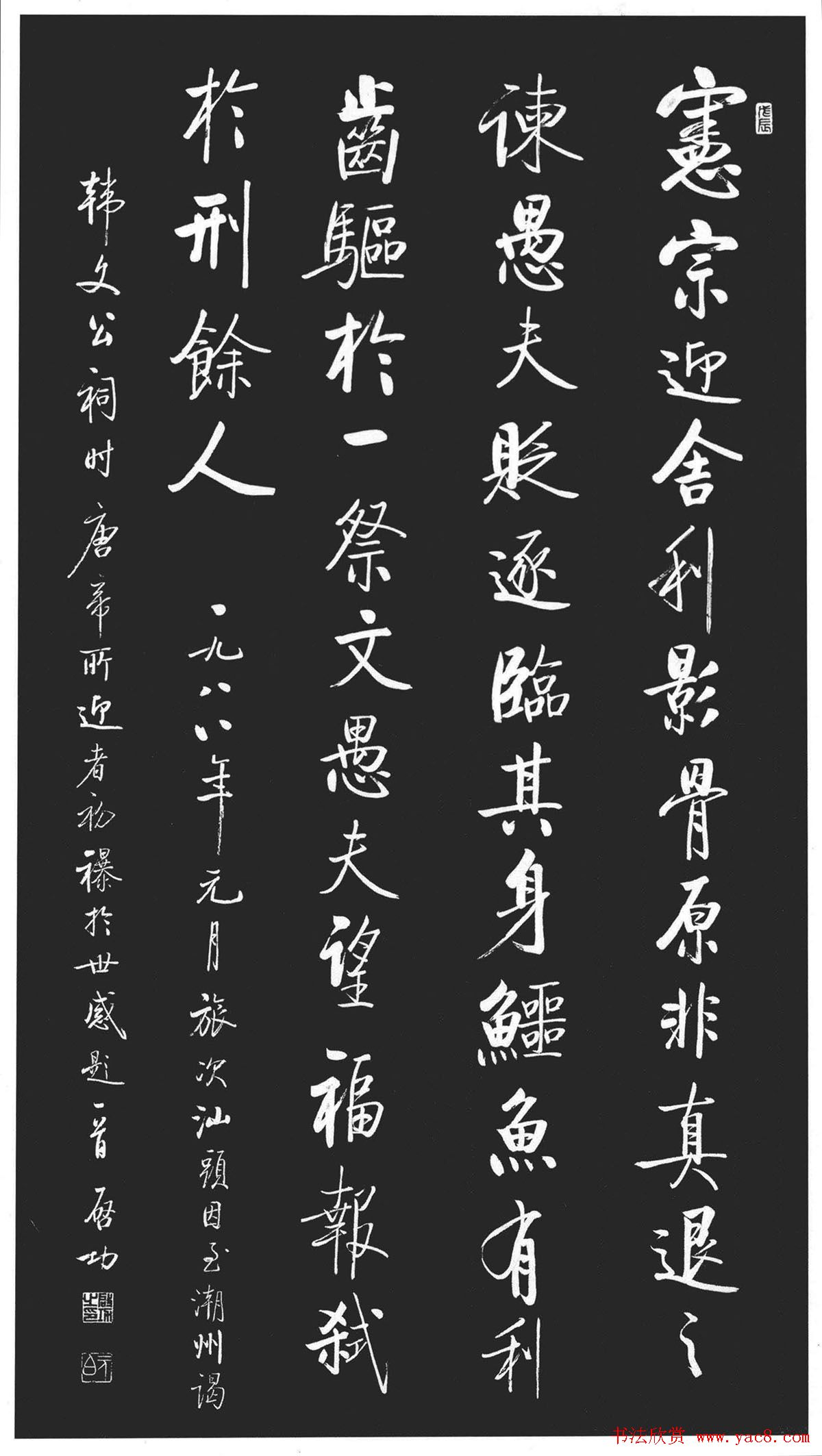 羊互相咬毛咋回事