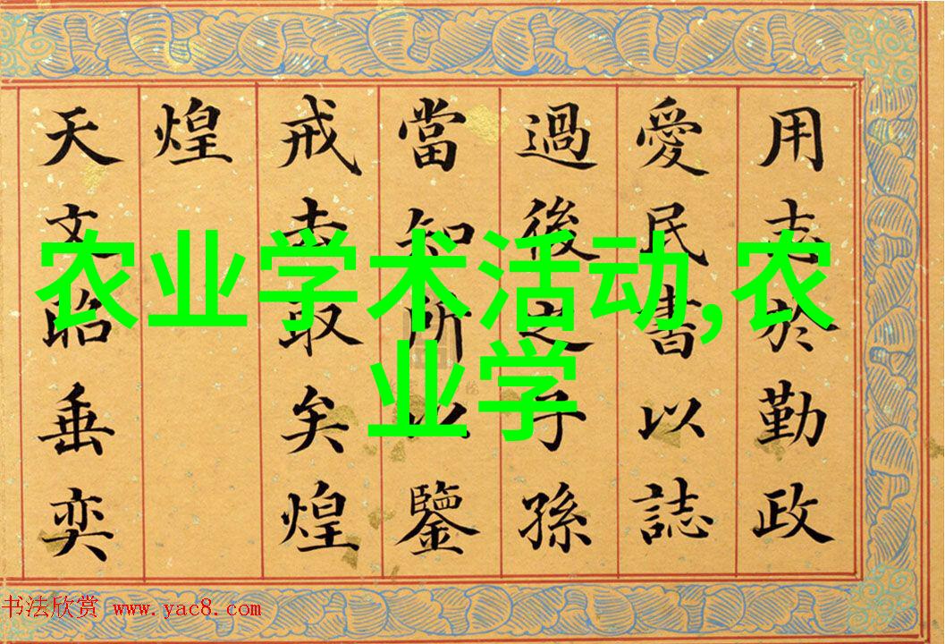穿越时空的孕育之旅福来孕转的秘密篇章
