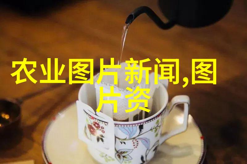 找蜂王最简单方法跟我来学
