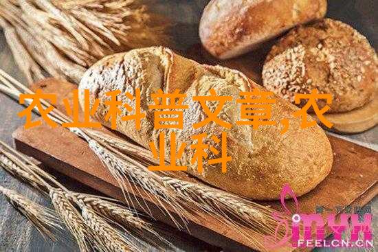 常见花卉种植方法大全亲自种的花儿我是如何学会种花的