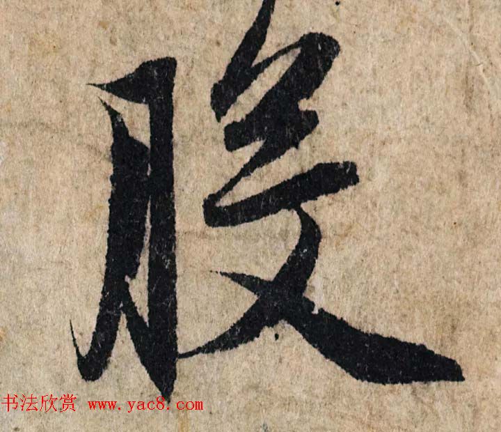耕作的五彩缤纷探索农业的五种基本类型