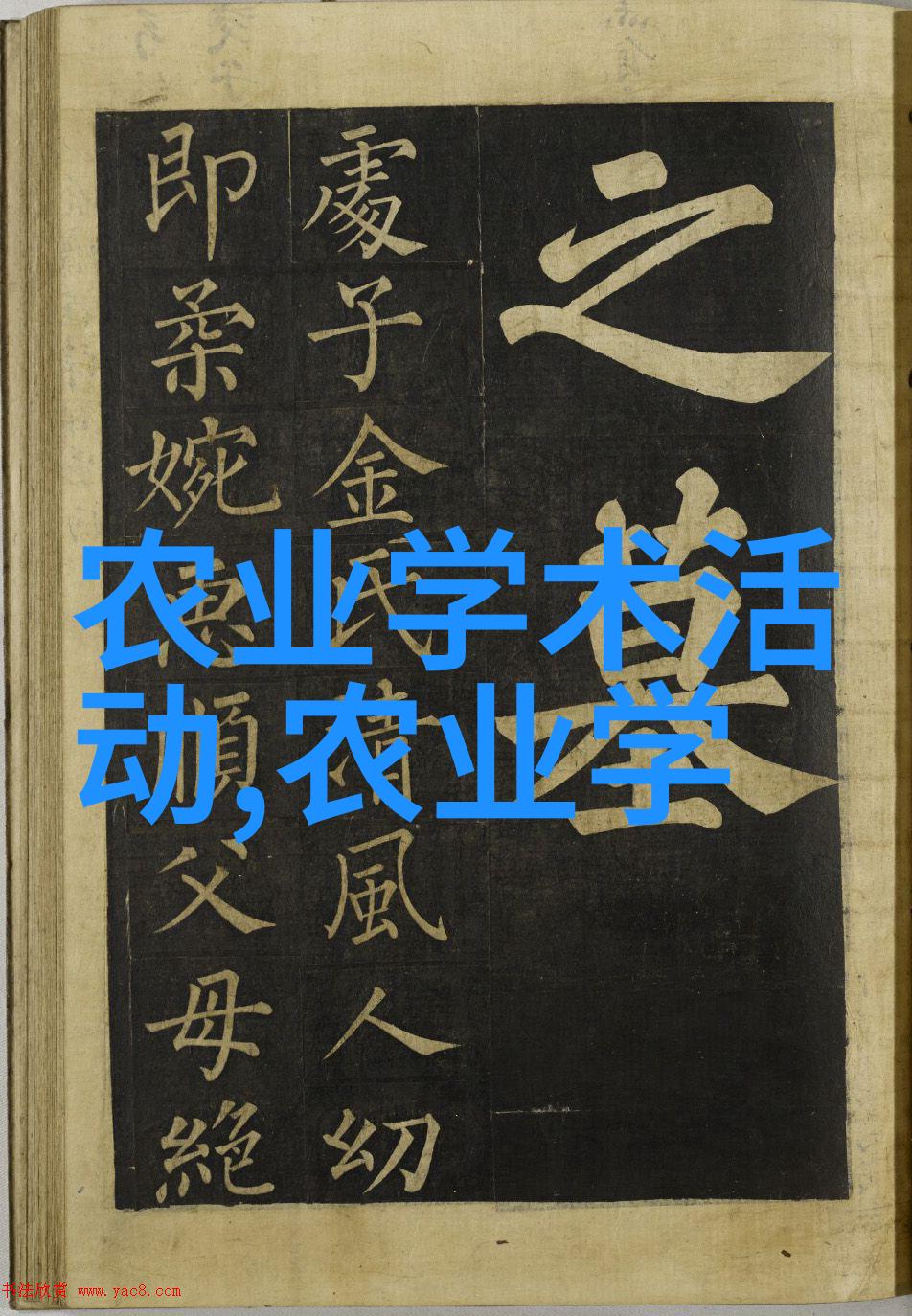 走进农场了解现代农业中使用的一些特殊种子的应用