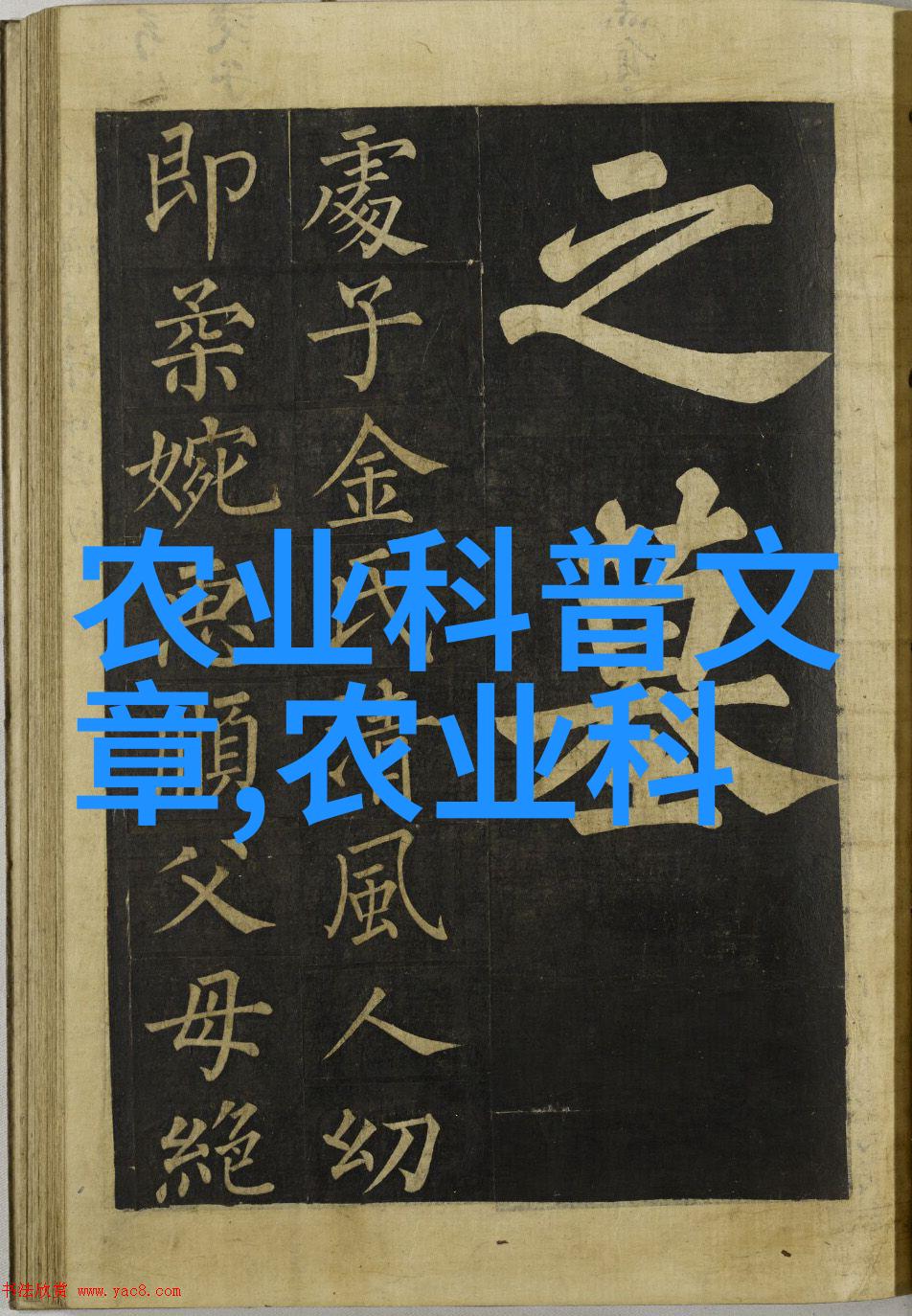 探秘荒野一本识别与烹饪的野生食材指南