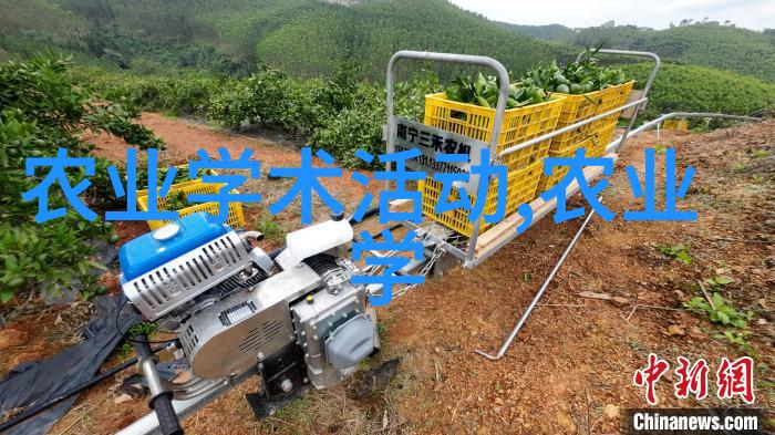学长帮帮忙h全文免费阅读我心里的秘密被你发现了