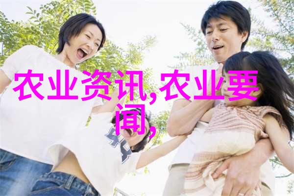 夏日收获从8月到9月的蔬果选择指南