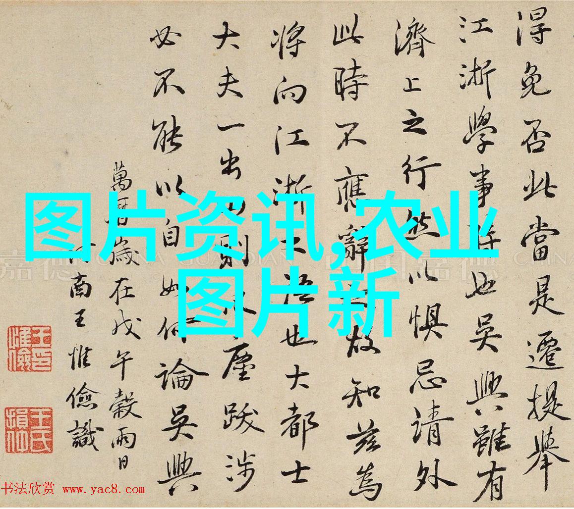 茶香滋养人体揭秘茶叶十大保健秘密