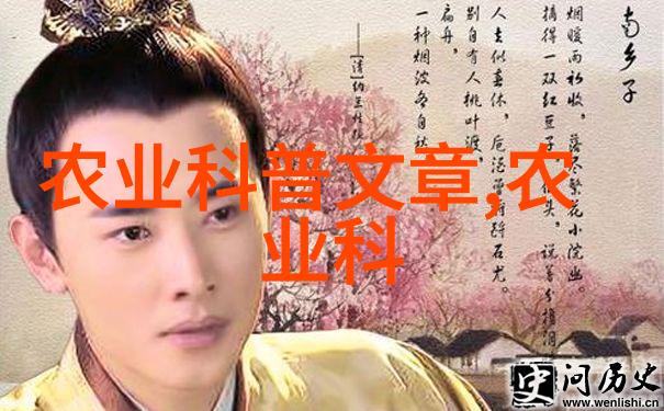 楼房蔬菜园的智慧创意种植技巧与方法分享