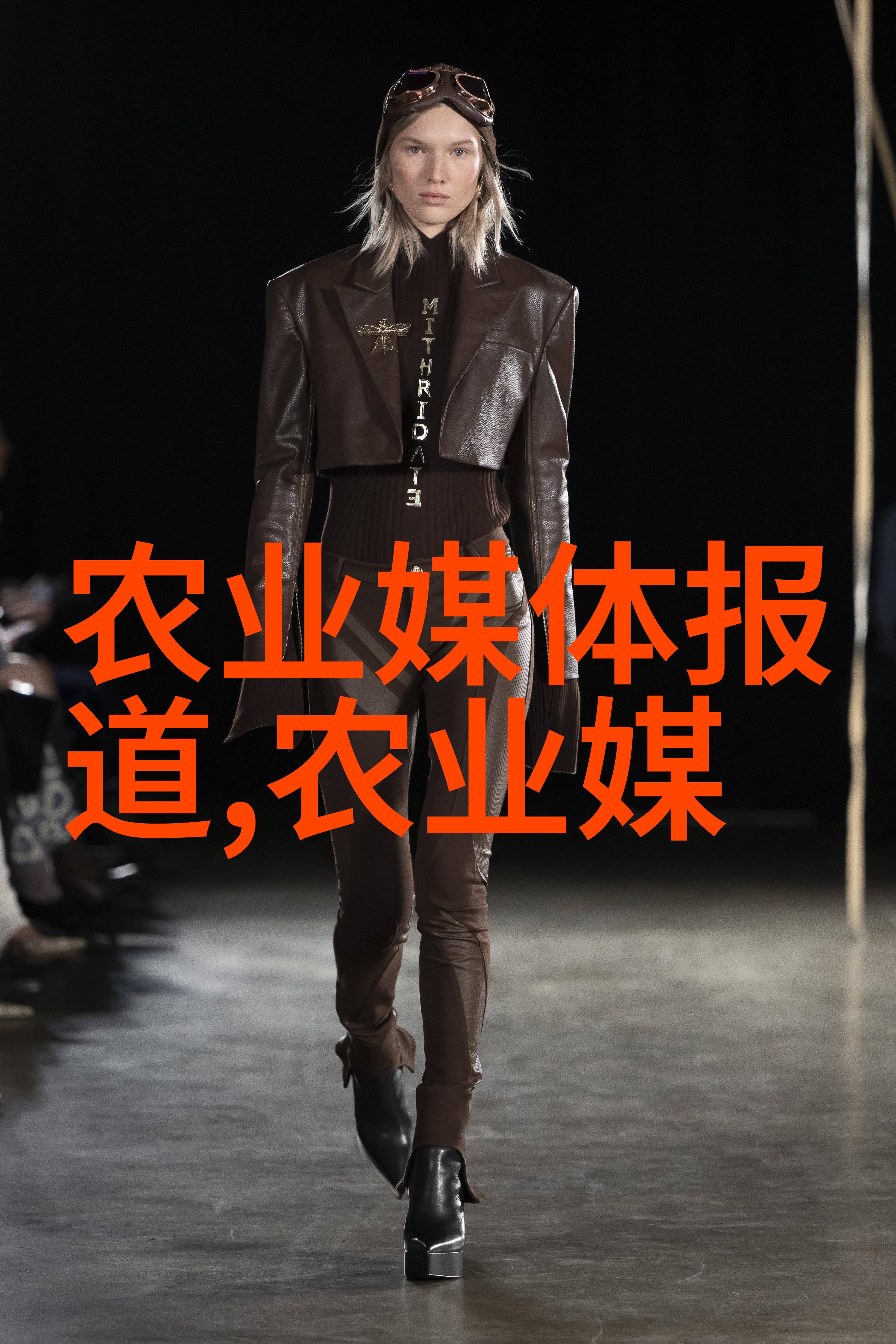 公司树木价格评估精准定价的艺术与科技结合