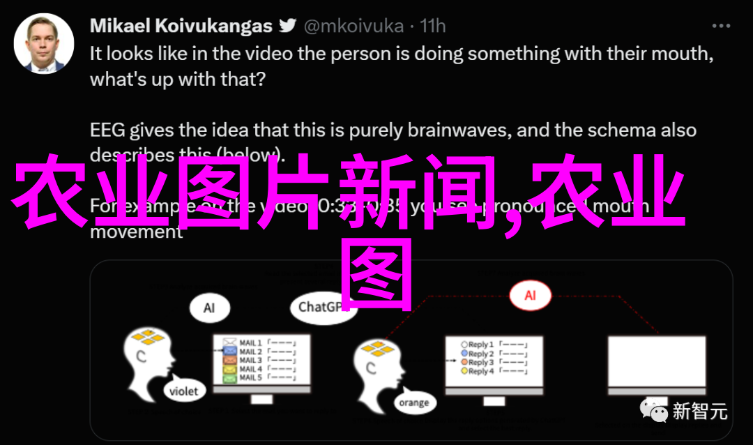 土猪的崛起探秘壹号背后的故事