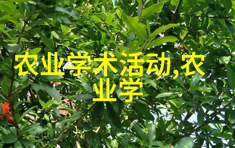 古方奇珍录掘金药材的秘密花园
