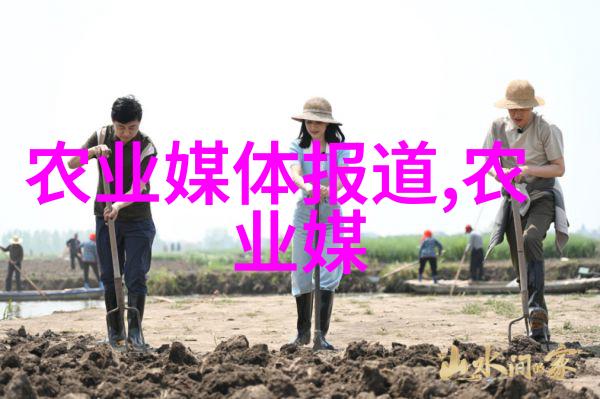 物料提升机系统高效的工业升降设备