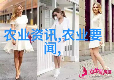 农耕智慧田园与网络的双刃剑