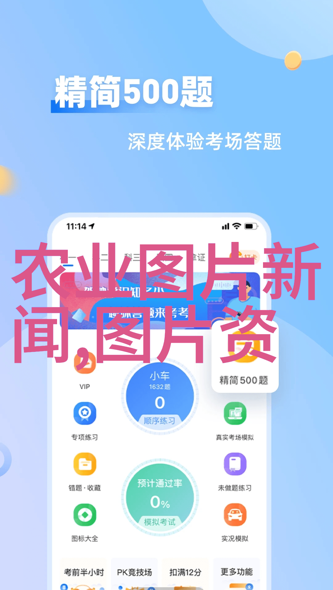 探秘水果种子的多彩世界一览各种图片