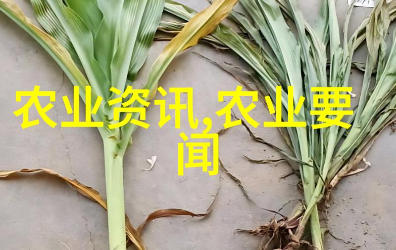 从哪里入手探索自己的兴趣爱好
