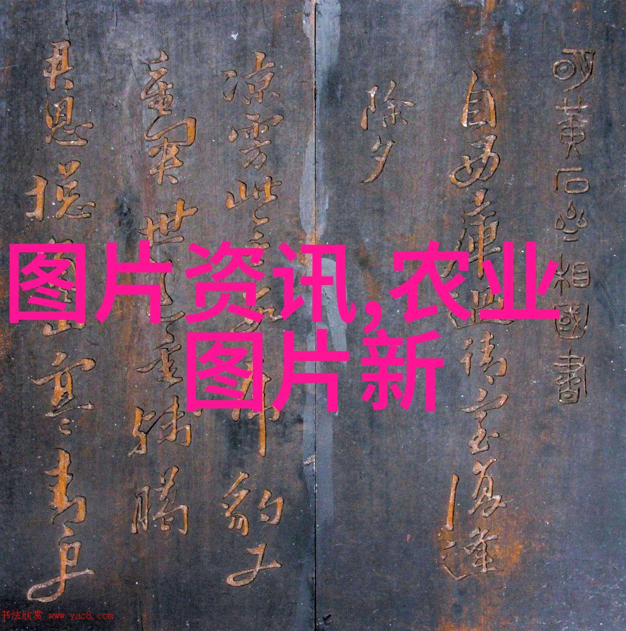 甄珠全文阅读我是如何一口气读完甄珠全集的