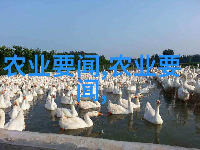 物联网(IoT)技术如何优化现有的食品和饮料生产线