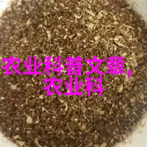 永春园中隐藏的秘密果实