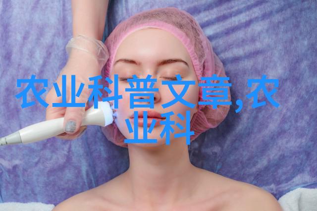 室内植物盆景我家的绿意盎然小天地