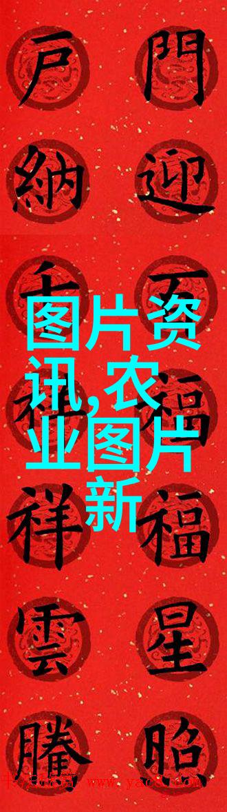 养牛补贴政策农村扶贫项目的长效机制