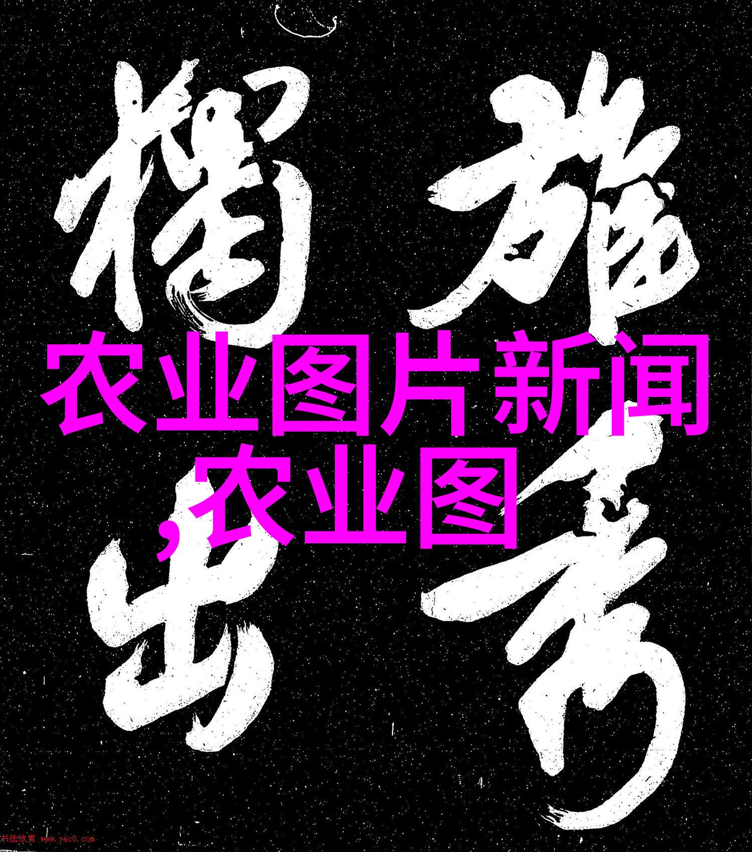 释迦果种植条件和区域释迦果的理想生长环境与分布地