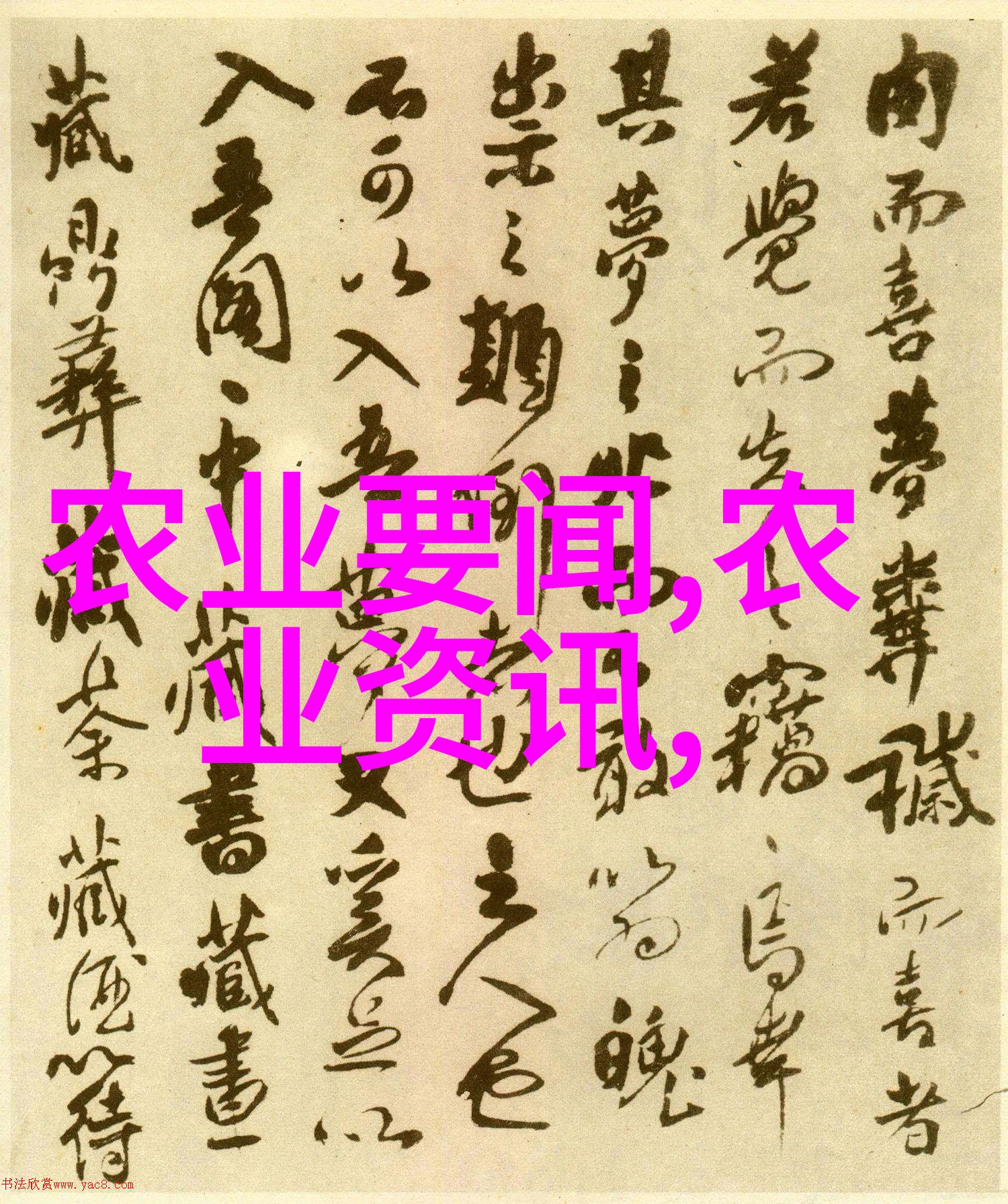 绿色肥田一亩大棚的投资之谜