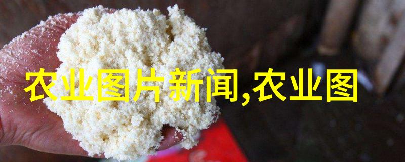 空房种植致富新项目智慧农业无地种植室内绿植植物养护系统