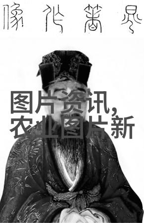 农村养殖大本营从土鸡到花猪揭秘最赚钱的宠物