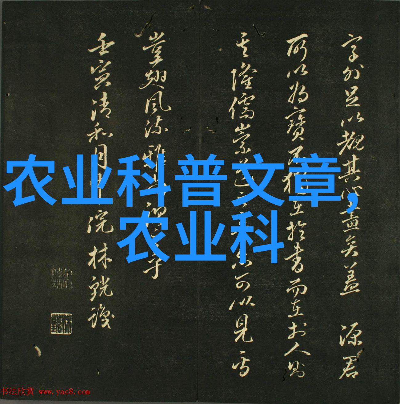 猪的奇迹五指之谜