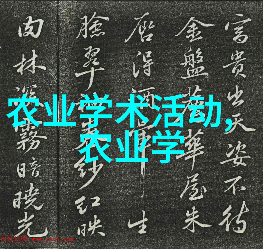 南国药香广东的秘密药材花园